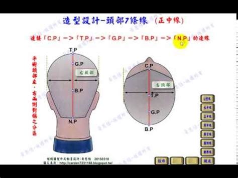 頭部七條基準線中，側頭線是|修剪基礎：頭部點與線